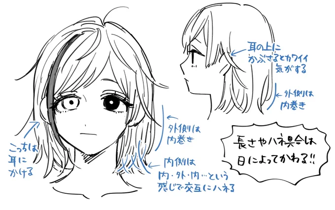 @tos いつも雰囲気で描いてますがだいたいこんな感じかなと思います… 