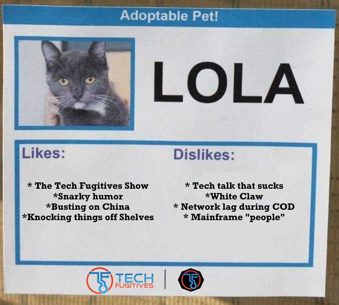 The Tech Fugitives tweet media