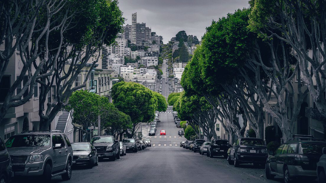 dirkjanjanssen's tweet photo. La ciudad de San Francisco permite a sus habitantes plantar sus propios árboles en las calles.

El resultado: un bosque urbano tan diverso como la gente que vive aquí. https://t.co/KdHCoTKe1a