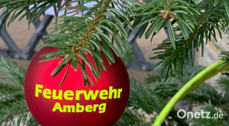 onetz_de's tweet photo. Der materielle Schaden ist nicht groß, der ideelle schon eher: Die #Amberger #Jugendfeuerwehr ärgert sich, dass ihr Christbaum vor dem Rathaus nun schon zum zweiten Mal abgeleert worden ist.  https://t.co/1Dd4o9ioVm https://t.co/crEI0UnoDc