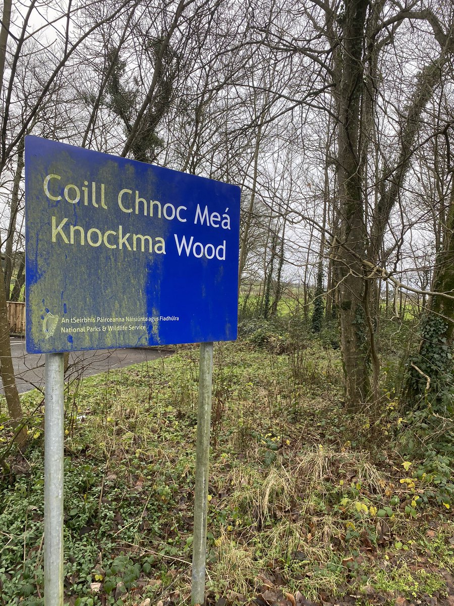 One of Galway’s nicest walks. Beautiful panoramic views from the top and plenty of secure bike parking too. This is a lovely day out to cycle from town and have a picnic. <a href="/GalwayCycling/">Galway Cycling Campaign (Feachtas Rothaíochta na G</a> <a href="/galwaytourism/">𝗚𝗮𝗹𝘄𝗮𝘆 𝗧𝗼𝘂𝗿𝗶𝘀𝗺</a>