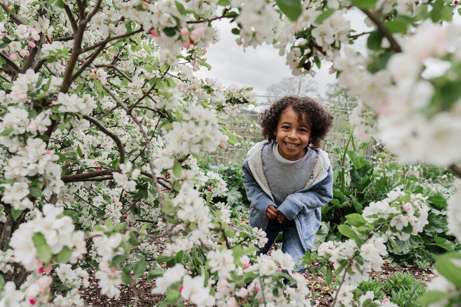 Our gardens are set to bloom again in 2021 🌺🌻🌼
You can look forward to getting out in the fresh air and lifting your spirits surrounded by glorious spring colour. 
Read more here: rhs.org.uk/press/releases…
