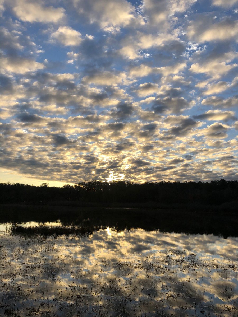 DonnaWells08's tweet photo. Have a wonderful day. #lakelife #TuesdayMorningDrive https://t.co/JY5LklwGFS