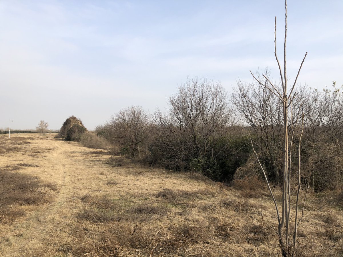 Between Xi’an and its new airport is around 40km2 of unassuming scrubland, sandwiched between motorways, rail lines and bleak industrial estates.Here uneven hillocks, trenches and piles of column bases hint at ruins of the enormous city, excavated over generations. 6/11