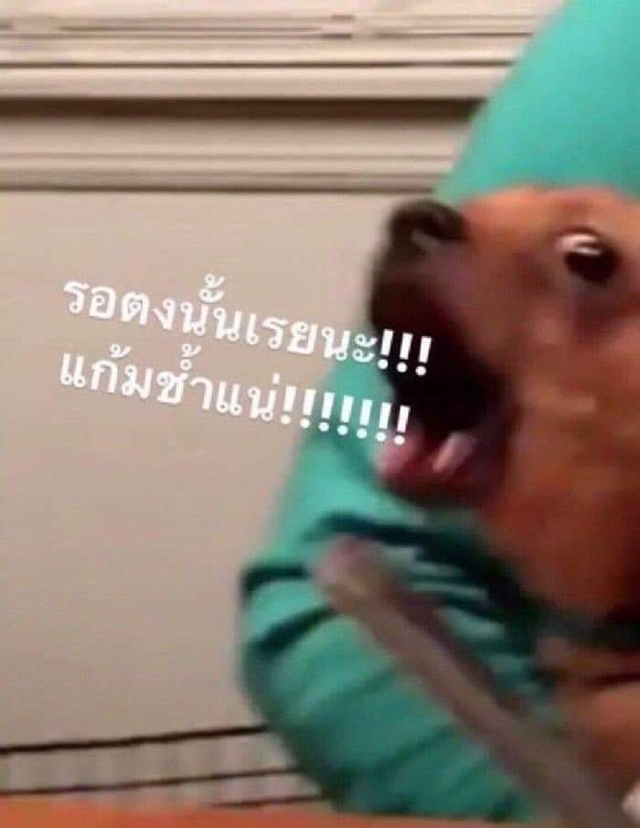 callmejoshua_z's tweet photo. มีมคลั่งรัก​ 📍 ปักไว้เผื่อสักวันจะได้คลั่งรักใครสักคน https://t.co/btCNItfBmN