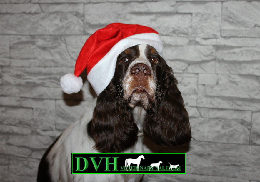 DvhSales's tweet image. For guaranteed delivery before Christmas, please order before midday on Monday 21st of December. After this date we cannot guarantee delivery but we will strive to fulfil all orders. Thank you for your patience and cooperation and we wish you a very Merry Christmas 😃😃