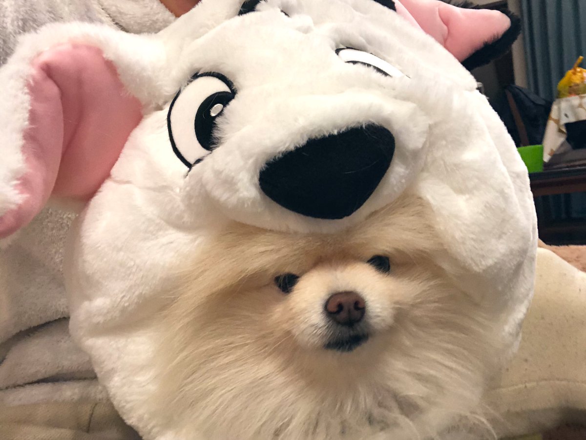 モコ (@618_mail) / Posts / X