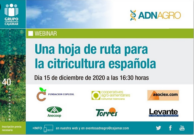 RevistaMercados's tweet photo. 🍊¡En unos minutos, trazamos la 'Hoja de ruta de la #citricultura española de la mano de @ADNAgroFood!
@CoopsAgroES @Bouquet_es @TorresNaranjas #Asociex #cítricos #FundaciónCopuzol https://t.co/DL3VeRvBP9