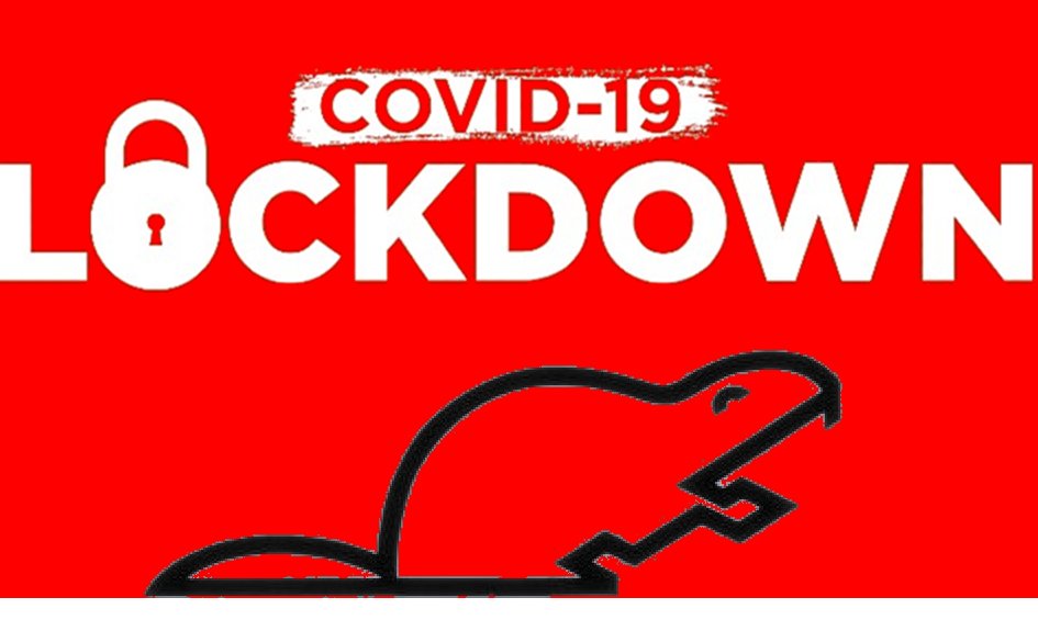 BeverAuto's tweet photo. De landelijke lockdown heeft ook gevolgen voor Bever autoaanpassingen. Geen rij- en gewenningslessen en geen advies- of verkoopgesprekken van 15-12-2020 tot 19-1-2021 op de vestigingen. Wel zijn onze adviseurs telefonisch bereikbaar of plannen we een online adviesgesprek. https://t.co/L23sZXyg3F