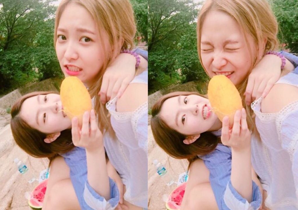 취향의 레드벨벳 tweet media
