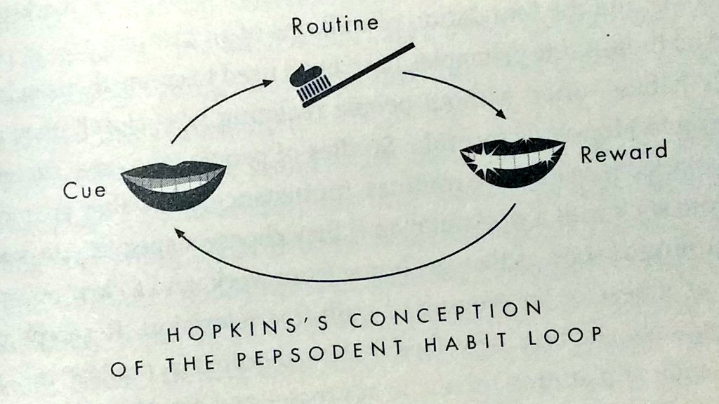 Example:𝗖𝗨𝗘 - notification 𝗥𝗢𝗨𝗧𝗜𝗡𝗘 - clicking/opening the notification𝗥𝗘𝗪𝗔𝗥𝗗 - dopamine hit