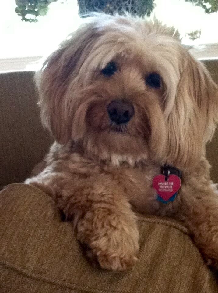 Nancy Leonard tweet media