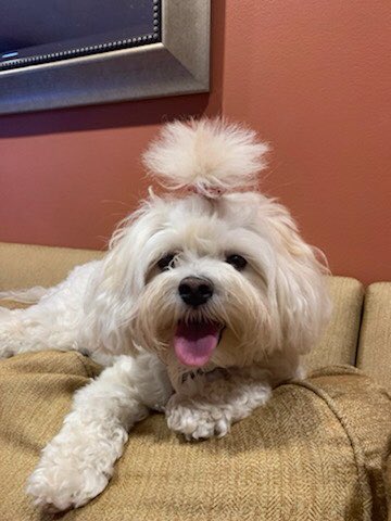 Nancy Leonard tweet media