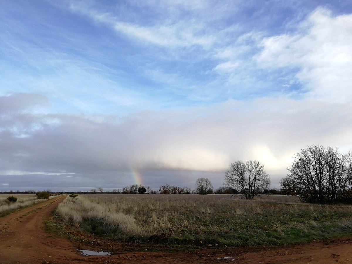 Otro día más en la oficina💪 #arqueología #Leon