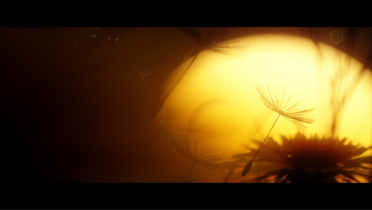 Cyticre's tweet photo. Dandelion seeds_02
-
A few stills from a short educational film I am finishing up about #photosynthesis #science #c4d #octane #animation #education #3D https://t.co/SiqJDEqCta