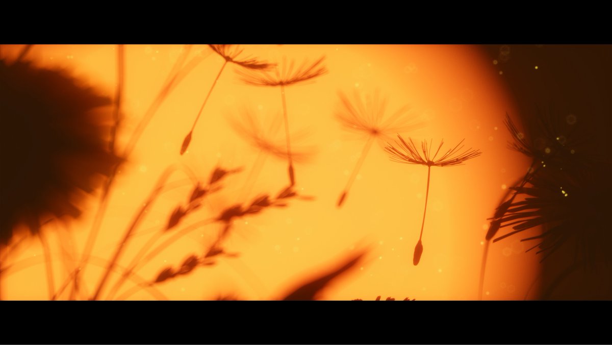 Cyticre's tweet photo. Dandelion seeds_02
-
A few stills from a short educational film I am finishing up about #photosynthesis #science #c4d #octane #animation #education #3D https://t.co/SiqJDEqCta