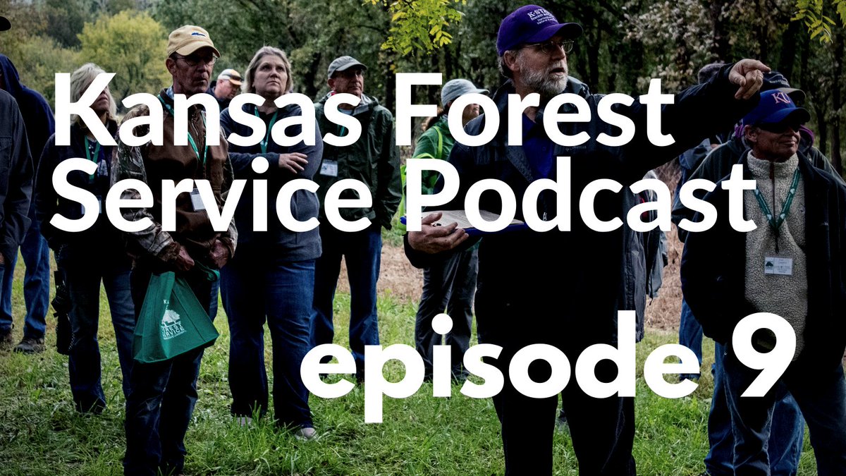 KSForestService's tweet photo. Dr. Barden shares how trees can solve environmental problems on Episode 9 of the #KSForestService #Podcast! Listen on your favorite podcast app or online at: https://t.co/v1aOpXtxyg 

#Kansas #forestry @KStateRschExtn https://t.co/zYjLGvqB5V