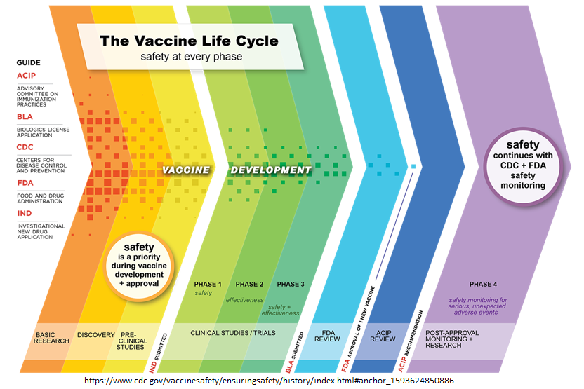 CDC Graphic on Vaccine Life Cycle 

More info here: cdc.gov/vaccinesafety/…