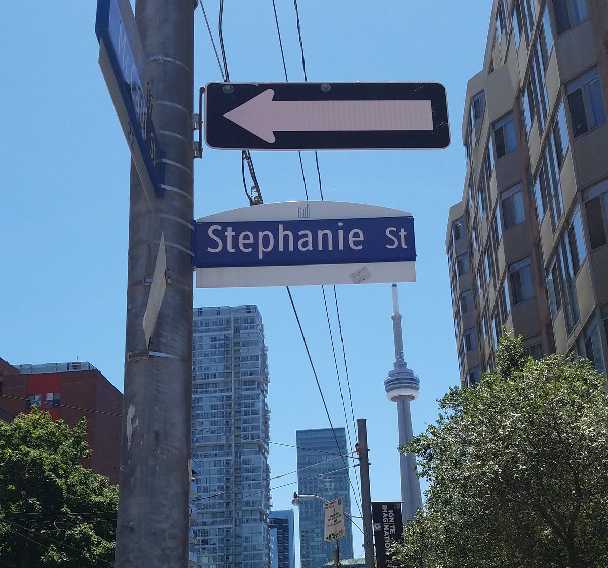 StephLuvsSports's tweet photo. I'm designating today #TorontoTuesday
#Toronto https://t.co/0fQhAh0jaV