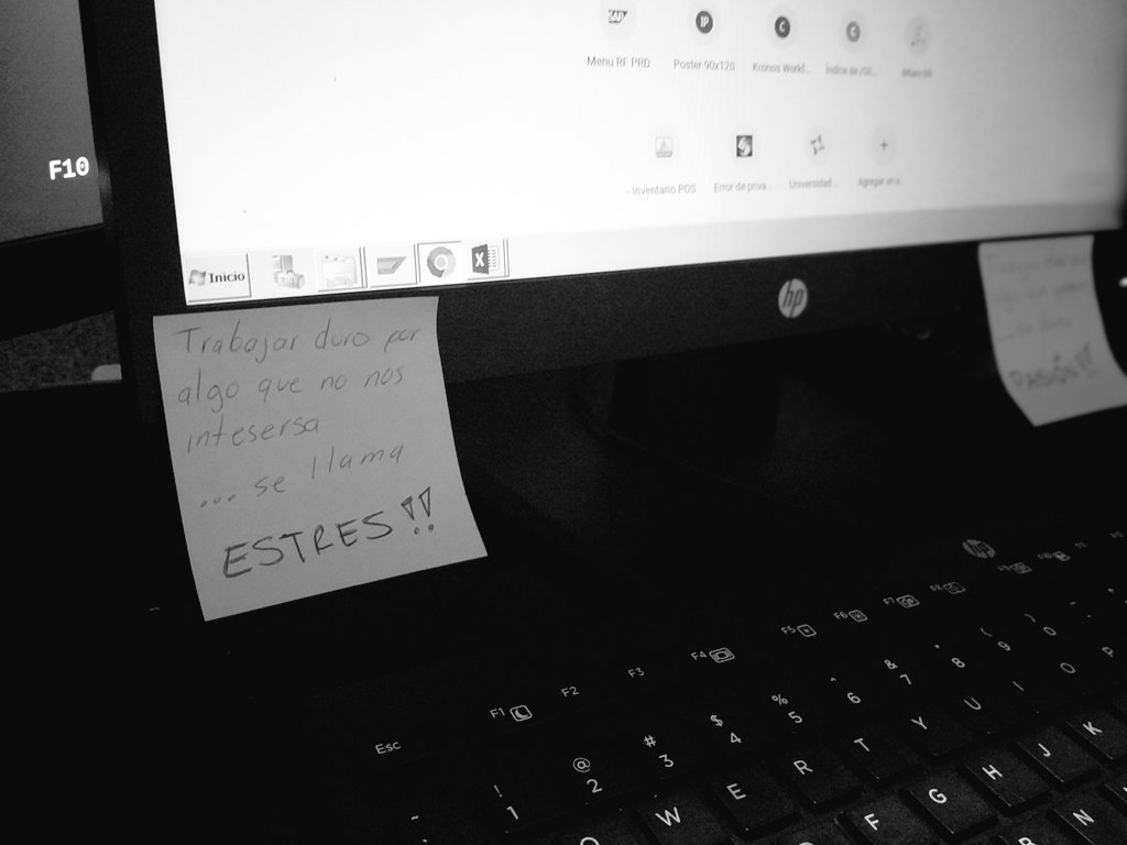 ArturoFerman's tweet photo. Amo mi trabajo 🖥️ https://t.co/JwmZBdOQc4