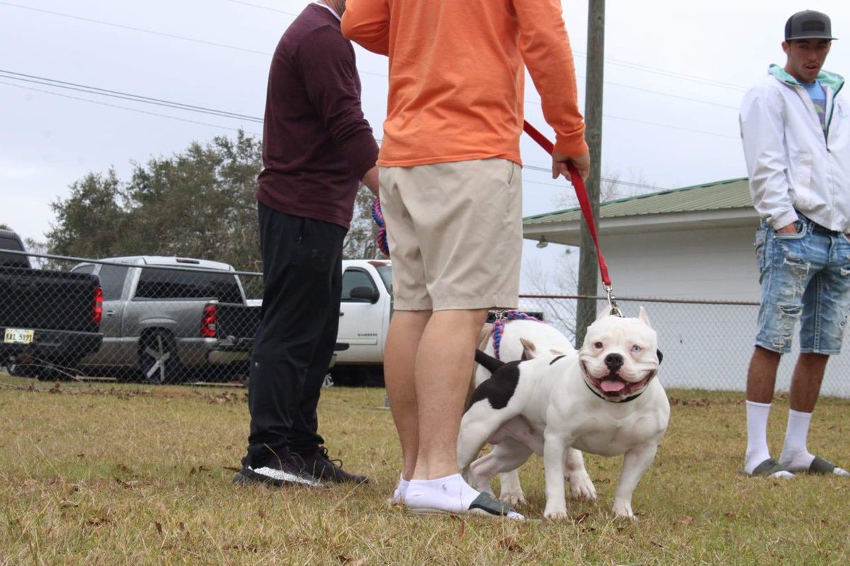 DMNecaise's tweet photo. If he run let the bulldawg fetch em🙌🏼 https://t.co/LZzzUsPt5O