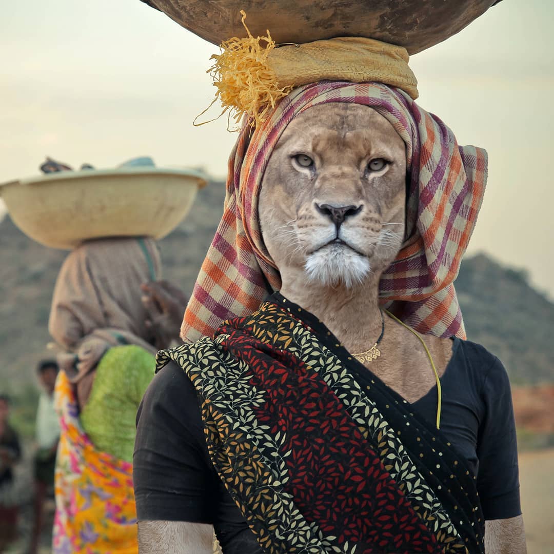 Animals Dressed As Humans Thrend