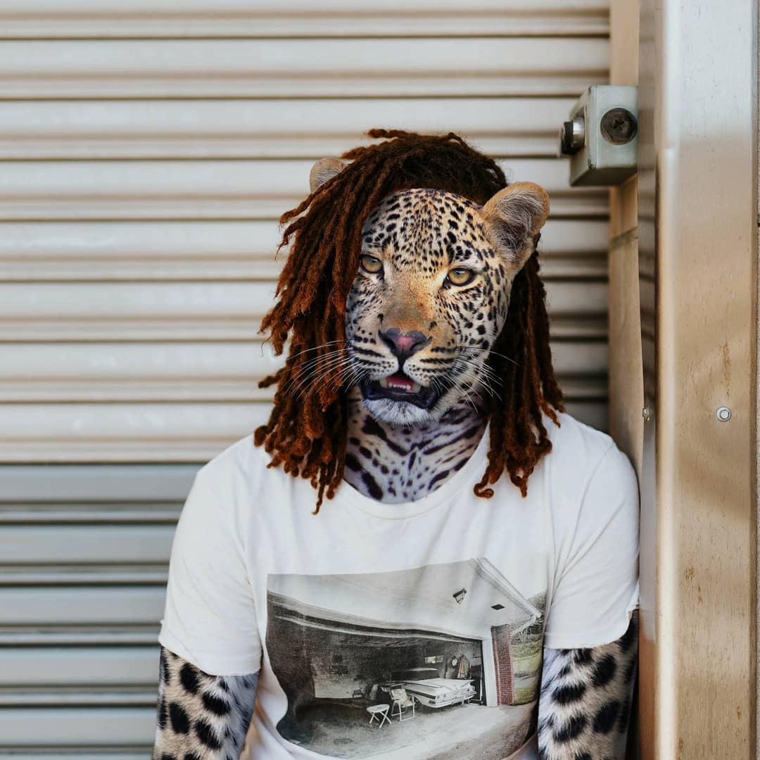 Animals Dressed As Humans Thrend