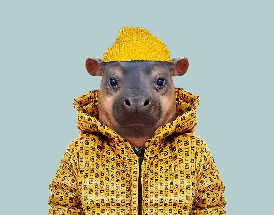 Animals Dressed As Humans Thrend