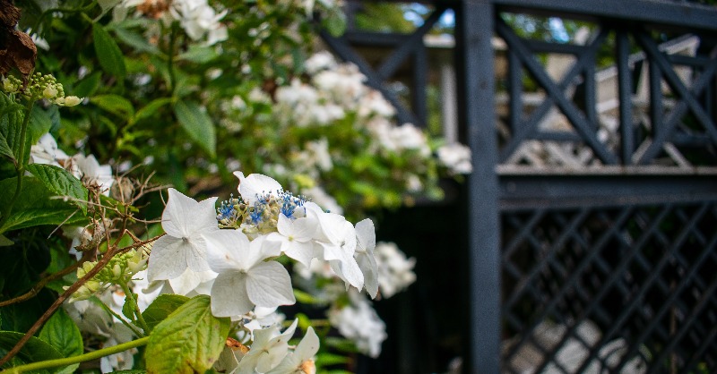AptecoLogHouse's tweet photo. Missing the beautiful Log House!