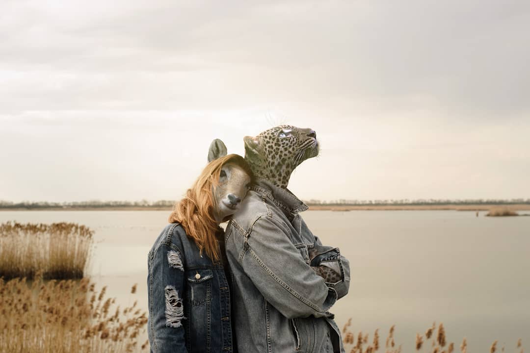 Animals Dressed As Humans Thrend