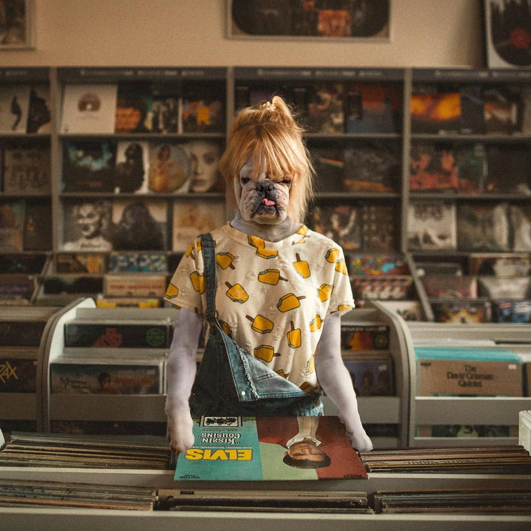 Animals Dressed As Humans Thrend