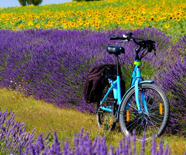 Provence is criss-crossed by some fabulous stretches of tarmac which lend themselves perfectly to traveling by bike. It's the perfect way to explore this fabulous region.

aluxurytravelblog.com/2020/01/15/cyc…

#provence #dreamingofsummer #summer2021 #provenceholidays