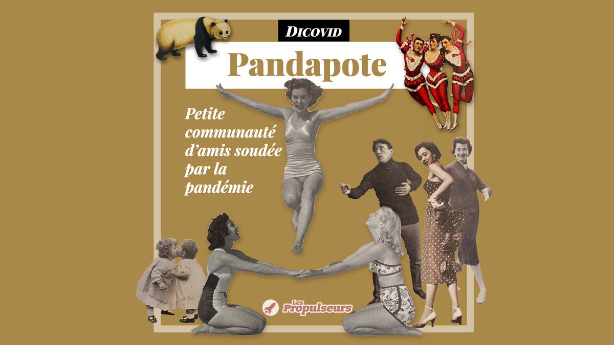 #Pandapote ? En période de pandémie, ces communautés restreintes entre potes se sont propagées plus vite que la #Covid_19 ➡️ propulseurs.com/pandapote/ Le #Dicovid est une expérimentation participative entre pandapotes
