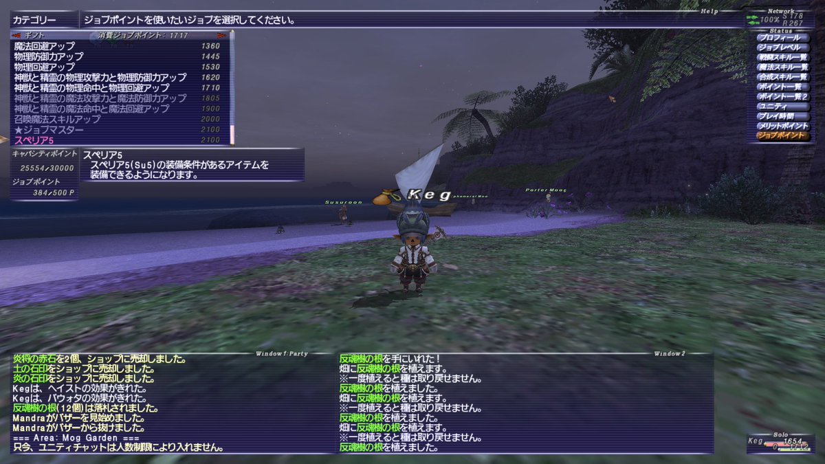 ひげごはん Ff11芝鯖 からくりソロでニークに勝てなかったので凡人