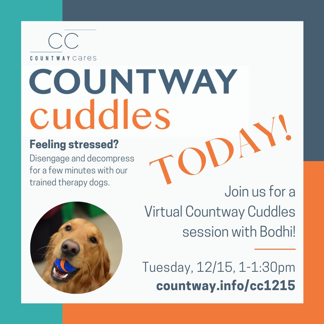 HMSCountway's tweet photo. #Takeabreak with us TODAY at 1pm EST for our first virtual #CountwayCuddles session! 🐶 Bodhi can't wait to meet everyone! Zoom link: https://t.co/xpGKWfHOGJ #countwaycares #virtualtherapydog #countwayconnects #libraryfromhome @HarvardMed @HarvardChanSPH @HMSpostdoc https://t.co/1LOR4bVKHa