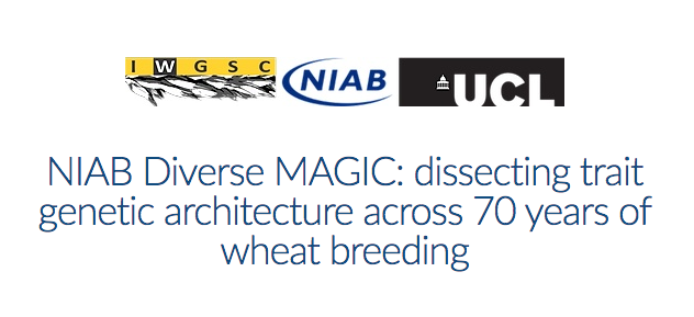 wheatgenome's tweet photo. For our next webinar on 21 January 2021 (at 11am EST), Michael Scott @mscott0106 (University College London, UK) will be talking about the NIAB diverse MAGIC population, a freely available resource for dissecting trait genetic architectures. Registration https://t.co/jKvb5dvzt0 https://t.co/7nTVma1MUj