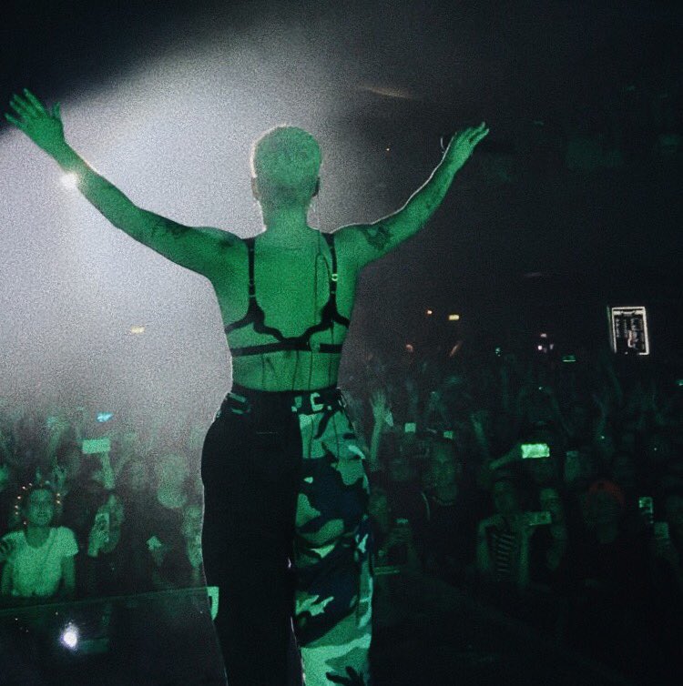 halsey as squishmallows, a thread