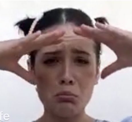 halsey as squishmallows, a thread