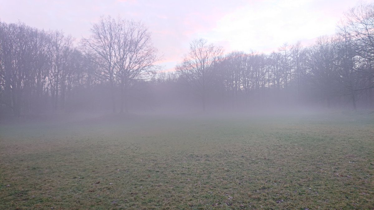 Herald Nobel tweet media