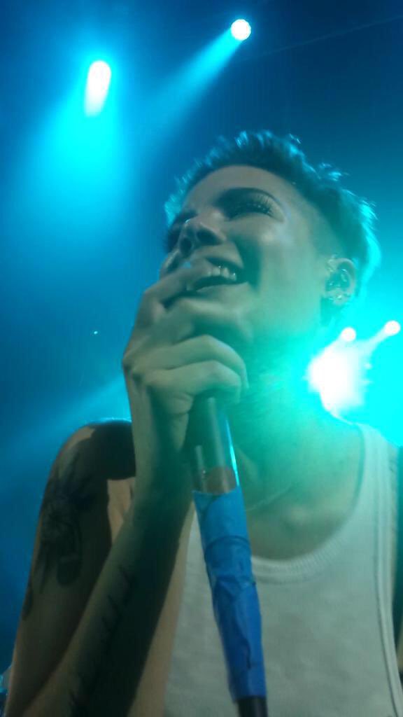 halsey as squishmallows, a thread