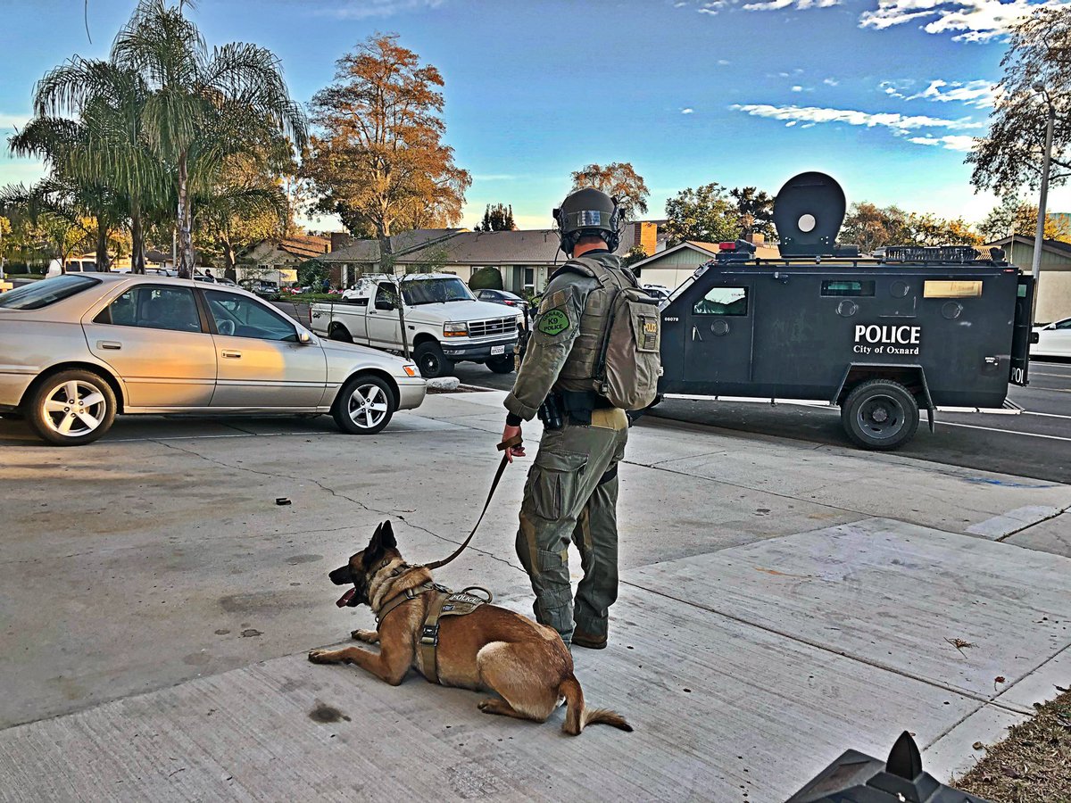 OxnardpoliceK9's tweet photo. Assisting @OxnardpoliceSEU and our Drug Enforcement Unit with a search warrant operation this morning. #OxnardPDK9 https://t.co/grer7ccGDz