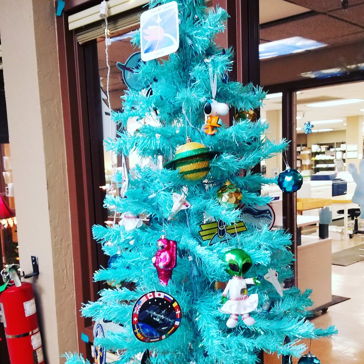 boblawton580's tweet photo. It's a BOB tree!#BobLawton #BobLawton580 #LawtonPS #OklaEd #teachers #Sequoyah #battleofthebookscompetition #spreadtheloveofreading https://t.co/Giz9rWqO1P