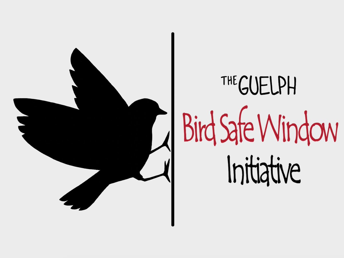 We are thrilled to introduce the Guelph Bird Safe Window initiative to Twitter! Interested in learning about how to prevent birds from colliding with your windows? Want to know more about bird conservation? Keep watching this page! #guelph #ornithology #conservation