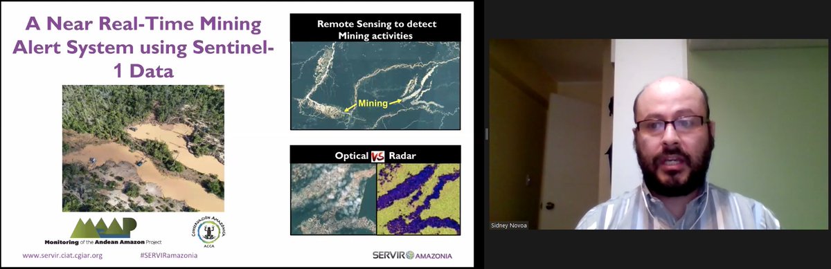 #AGU20: Next up,  @NovoaSidney of  @AmazonACCA is presenting on monitoring of [illegal] gold mining in the  #Amazon using  @CopernicusEU  #Sentinel1  #SAR data, and Collect Earth Online ( https://collect.earth ). Great work,  #SERVIRAmazonia!  https://twitter.com/BZgeo/status/1338888171925417990