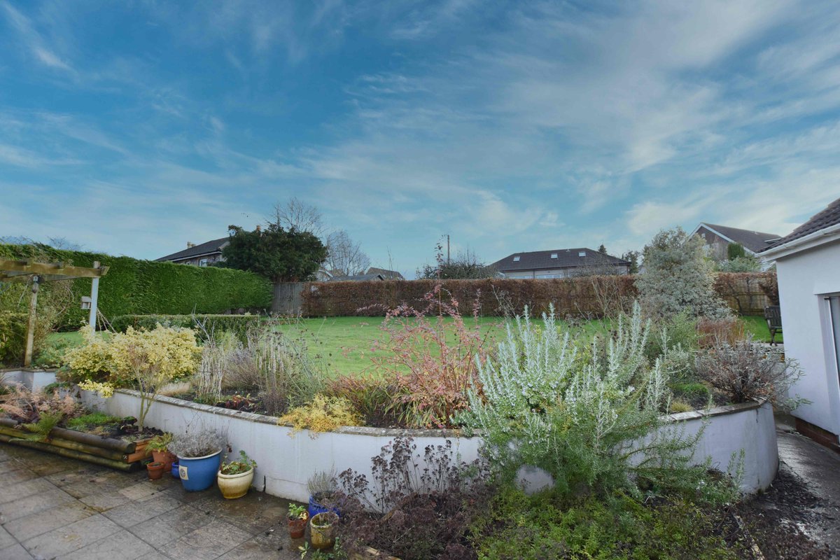 Cherry Tree Estates tweet media