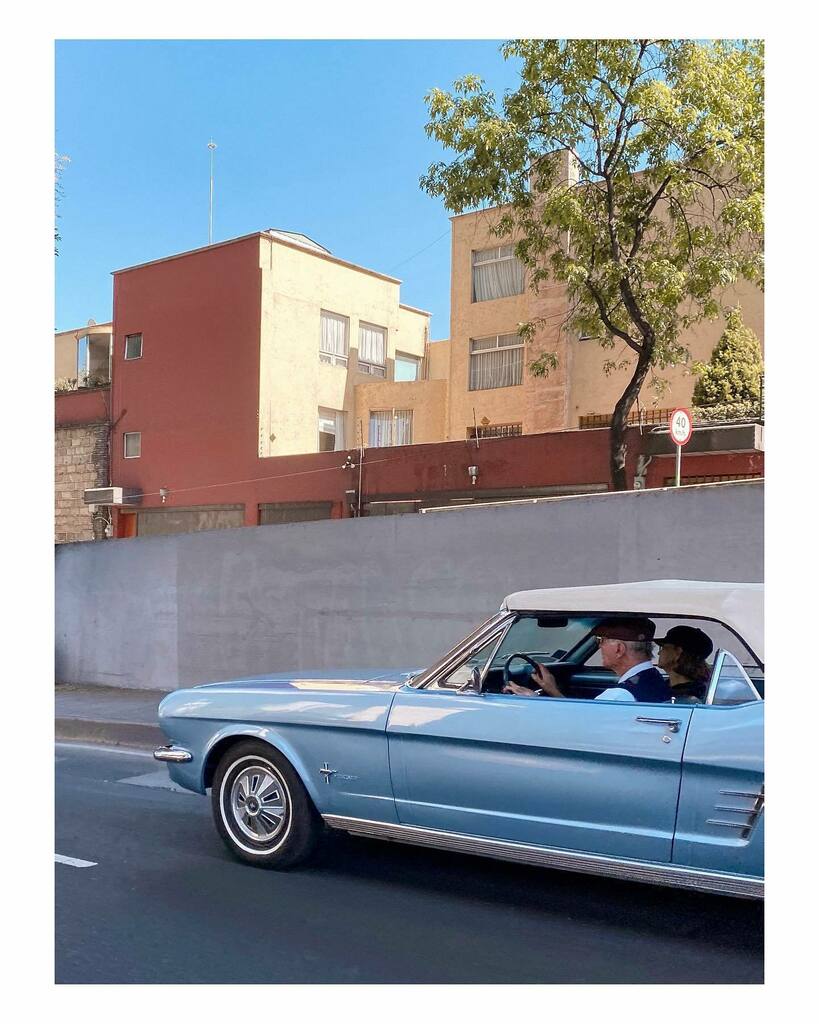 Maiky_Mejia's tweet photo. Unicornio... Periférico. Ciudad de México. Diciembre 2020. © .

#mexico #mexicodf #eldfrifa #mex #mexicocity #cdmx #color #retro #urban #mustang #everybodystreet #life #ford #mustang #classic #streetshot #oldstyle #perspective #street #streetlife #shoto… https://t.co/wLZFsDMjvA https://t.co/kIRp8BTgGJ