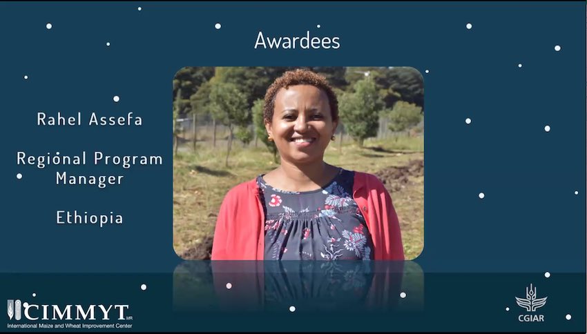 KropffMartin's tweet photo. Congrats to excellent colleagues Rahel Assefa and Kate Dreher for receiving the 2020 Bänziger Award for Women in CIMMYT. Not only are they great at their jobs &amp; have contributed immensely to @CIMMYT's success, they are also always helpful &amp; uplift others. A true inspiration! https://t.co/Z6dCcIMKRw