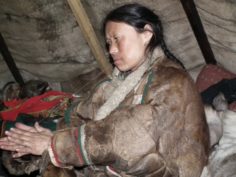 Yamal_Peninsula's tweet photo. The chums (teepees) that the Nenets live in are made of 75 reindeer furs sewn together using reindeer tendon as thread. A fur coat is made of 8. When a reindeer is slaughtered, the tendons are dried and kept by a woman in her sewing bag, pictured below. https://t.co/FqOsNSz7TP