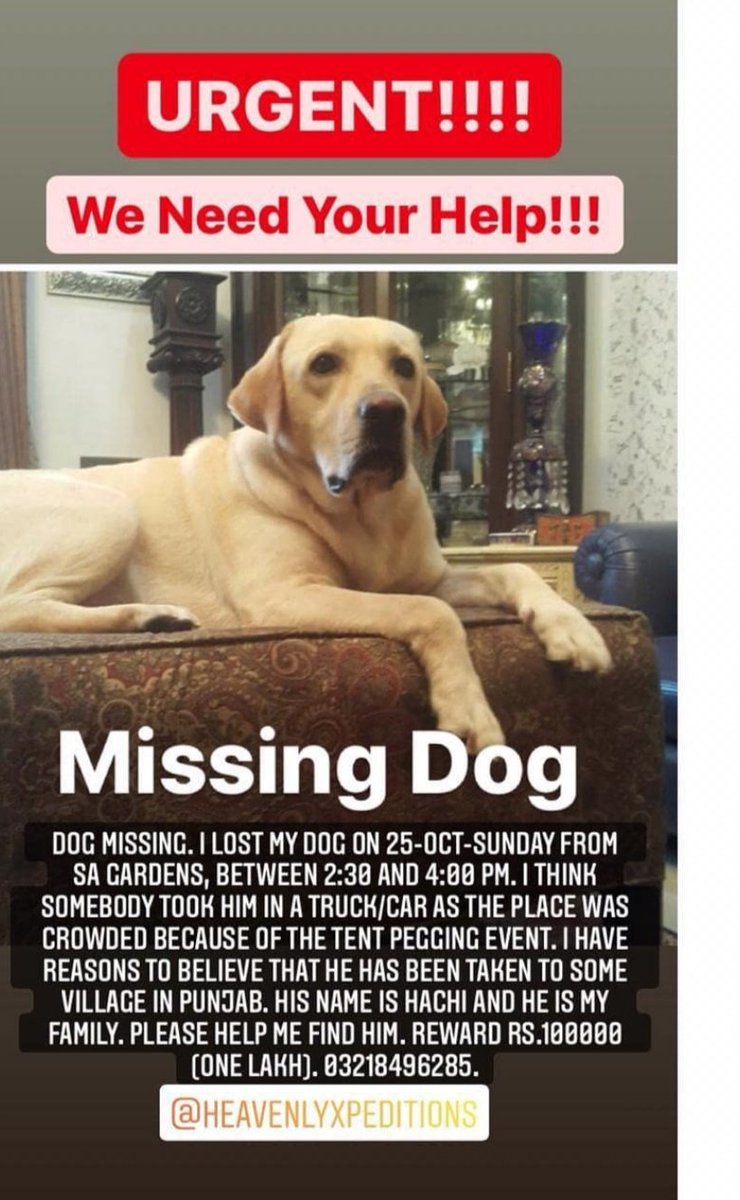 Umar__66's tweet photo. Help us finding hachi nd get reward of rupees 100,000, detail in pictures #findhachi https://t.co/Jiu8oRqVs2