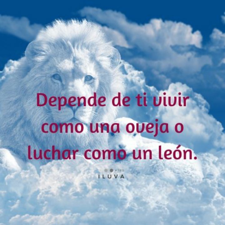 𝐩𝐲_𝑯𝒖𝒈𝒐 (@victorr74650566) on Twitter photo 